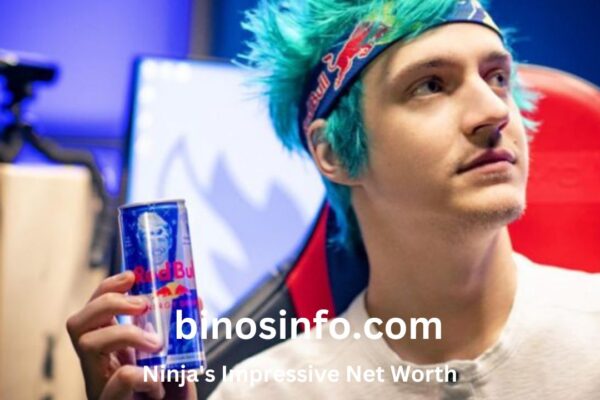 Ninja Net Worth