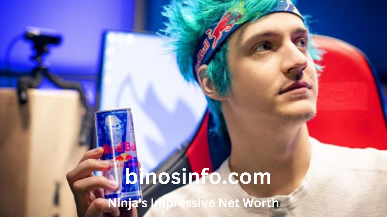 Ninja Net Worth