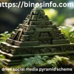 Drive Social Media Pyramid Scheme