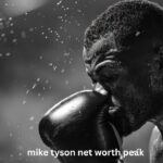 Mike Tyson Net Worth Peak