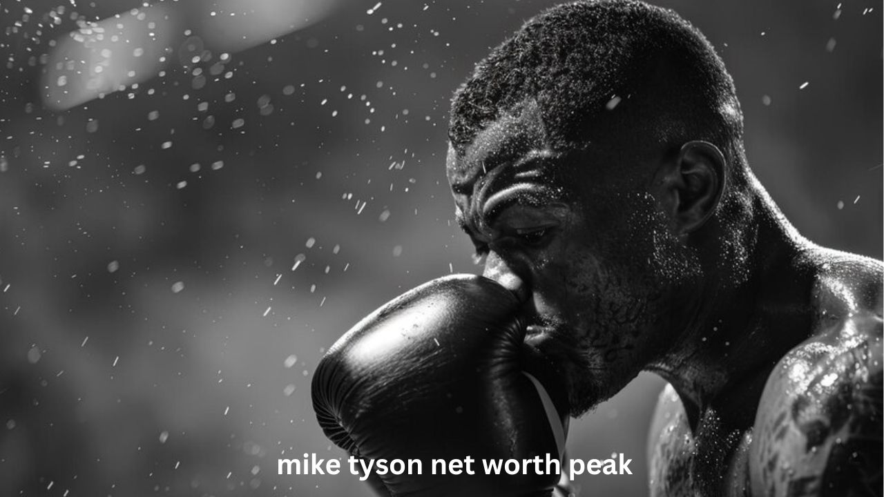 Mike Tyson Net Worth Peak